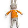 Daisy the Crochet Bunny Daisy the Crochet Bunny, handmade crochet toy
