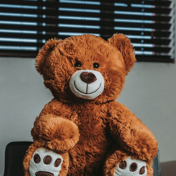Mochi the Bear Mochi the Bear, soft plush teddy bear